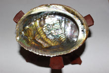 Load image into Gallery viewer, Abalone Shells