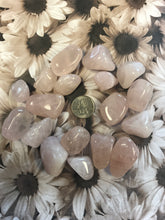 Load image into Gallery viewer, Tumbled Rose Quartz