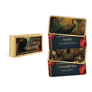 Boxed Cards Affirmations, Totems, Etc