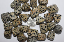 Load image into Gallery viewer, Tumbled Dalmatian Jasper