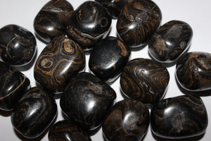 Tumbled Stromatolite