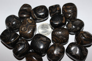 Tumbled Stromatolite