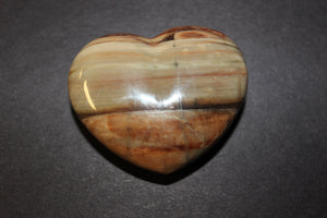 Petrified Wood Hearts