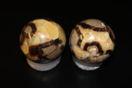 Septarian Spheres
