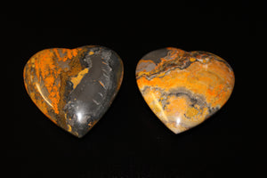 Bumblebee Jasper Hearts