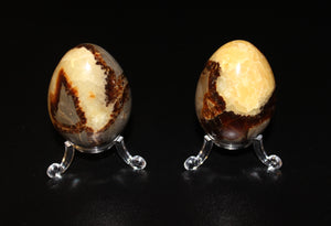 Septarian Eggs