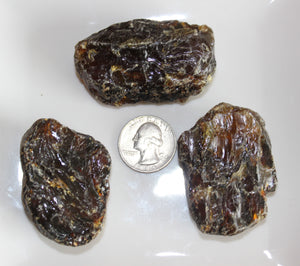 Rough Dark Amber Specimen (Prices Vary)
