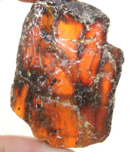 Load image into Gallery viewer, Rough Dark Amber Specimen (Prices Vary)
