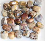 Crazy Lace Agate Tumbled