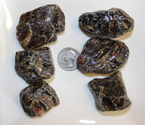 Rough Dark Amber Specimen (Prices Vary)