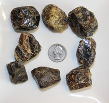 Load image into Gallery viewer, Rough Dark Amber Specimen (Prices Vary)