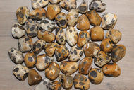 Leopard Skin Jasper Tumbled or Rough