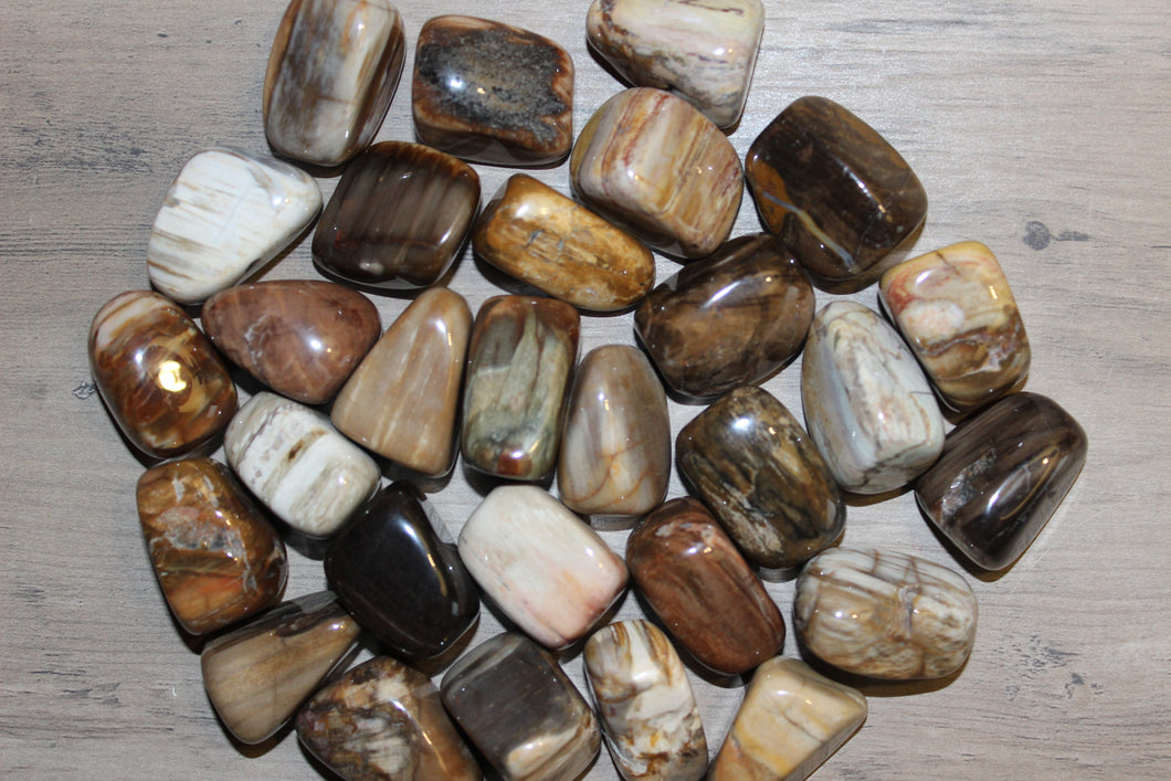 Tumbled Petrified Wood