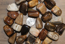Load image into Gallery viewer, Tumbled Petrified Wood