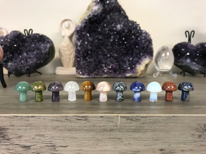 Assorted Mini Mushrooms