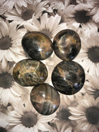 Black Moonstone Palms