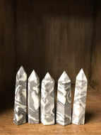 Shell Jasper Polished Points