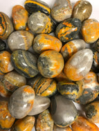Tumbled Bumble Bee Jasper