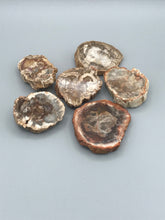 Load image into Gallery viewer, Petrified Wood Branch Slices and Branch Pieces Madagascar
