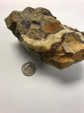 Load image into Gallery viewer, Rough Septarian