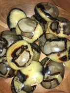 Septarian Palm Stone