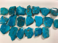 Genuine Turquoise